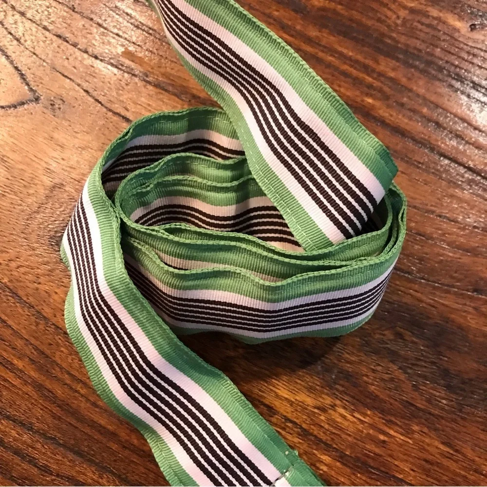 ⚓️J CREW Ribbon Belt - Picture 2 of 6